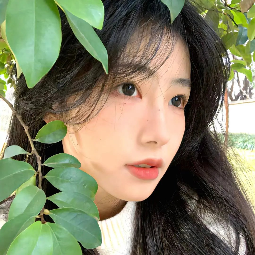 话梦光影